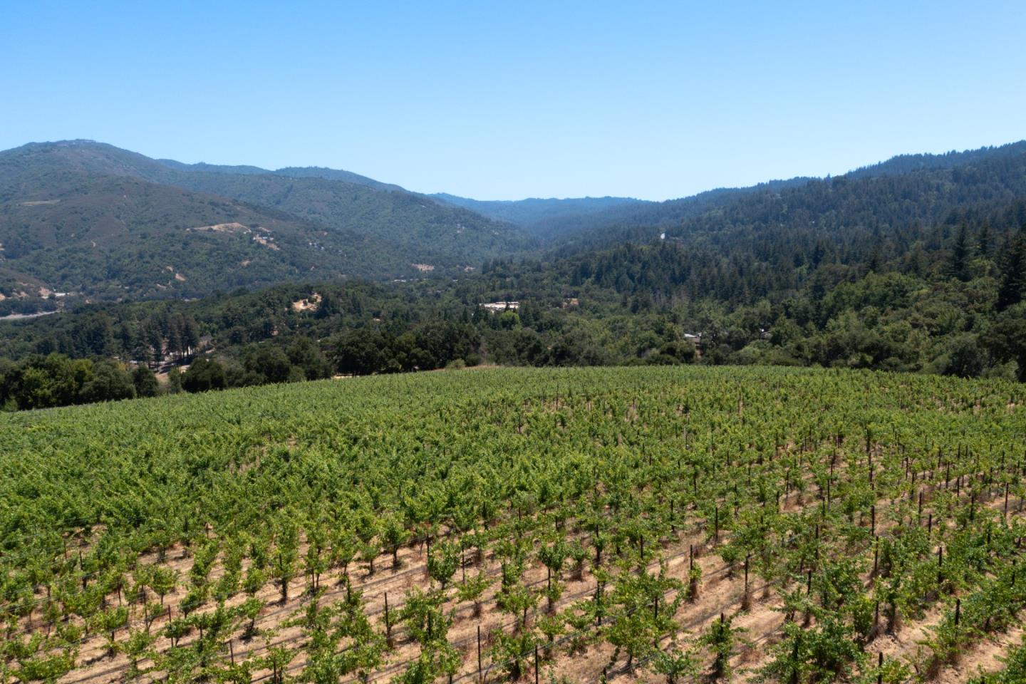 18700 Black Road Los Gatos, CA 95033 - Photo 19 of 24 a view of a lush green hillside and a houses