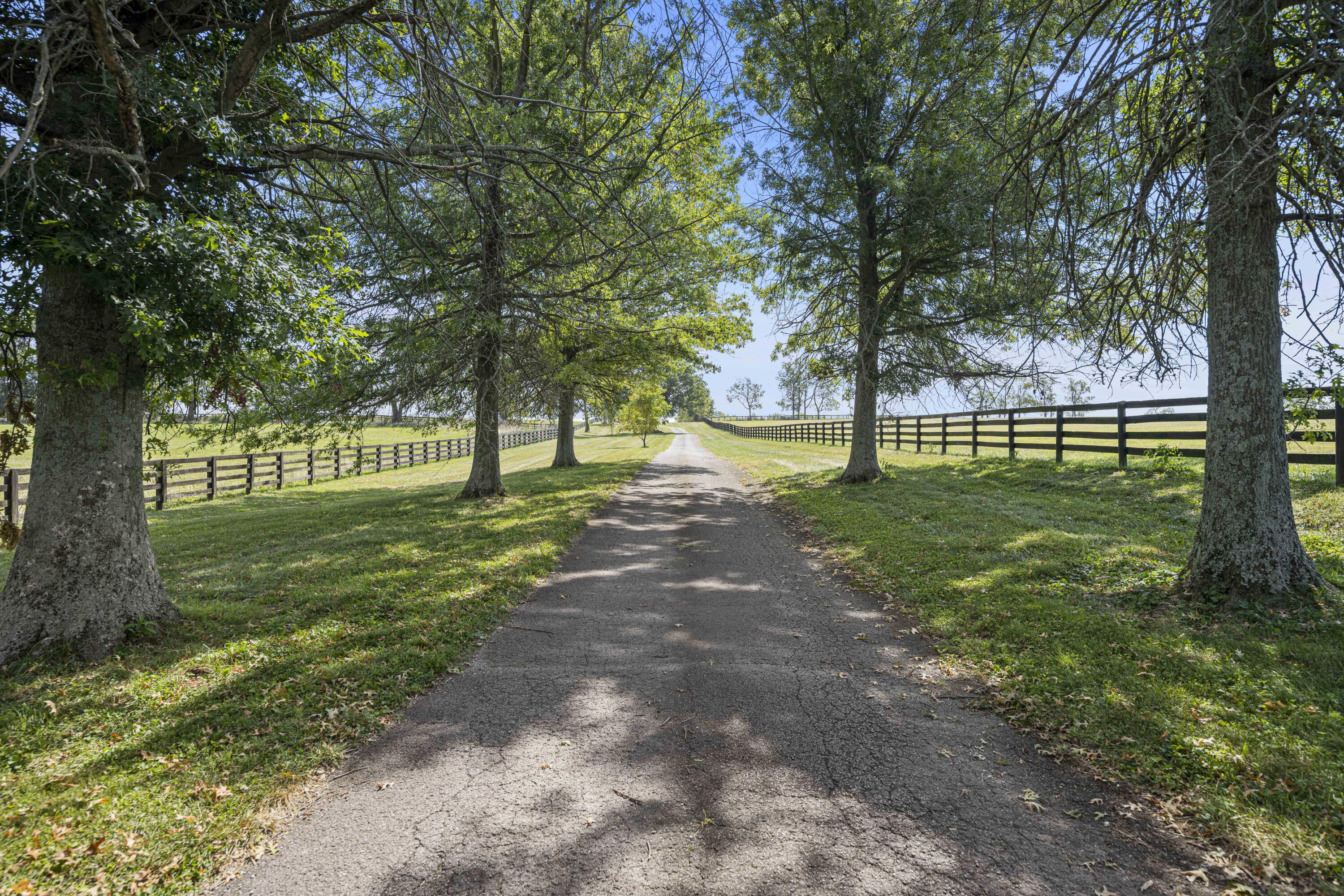 307 Stone Road Georgetown, KY 40324 - Photo 16 of 115 20240827-307-Stone-Rd-tem-084
