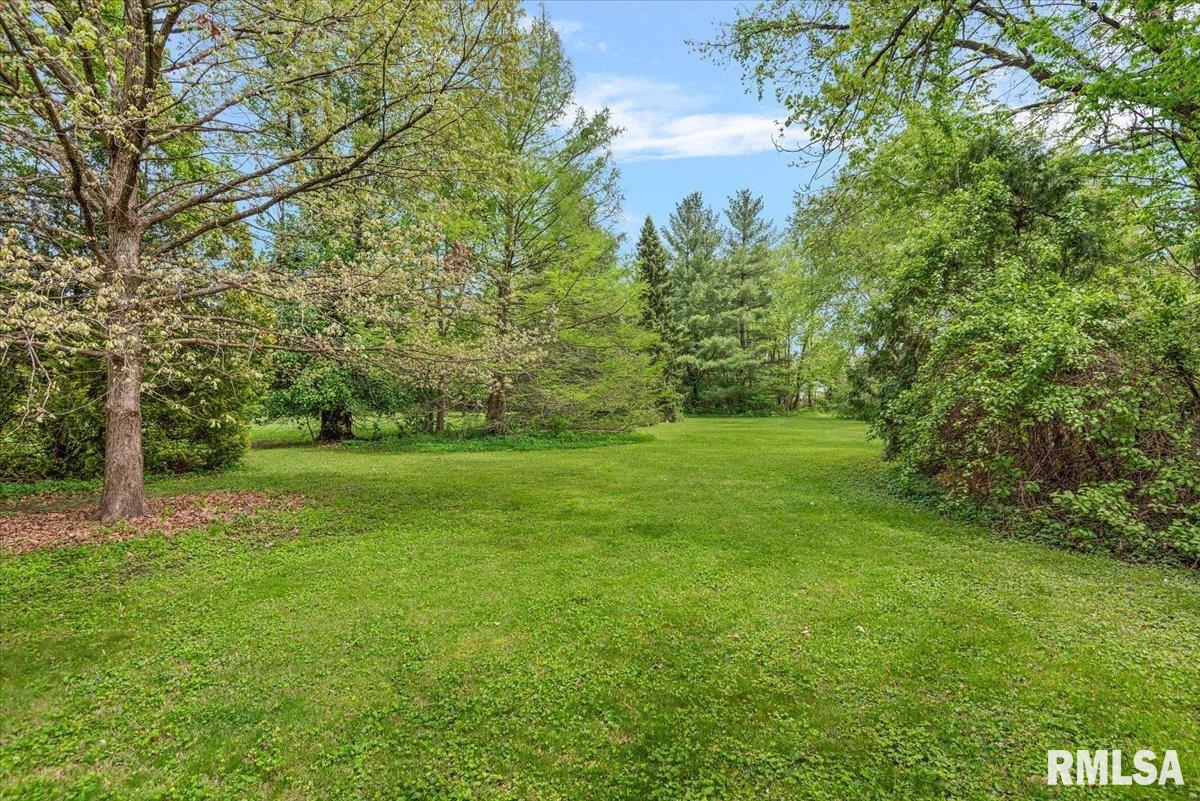 3232 South Park Avenue Springfield, IL 62704 - Photo 38 of 39