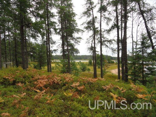 12498-12518 North Randolph Road Watton, MI 49970 - Photo 15 of 18
