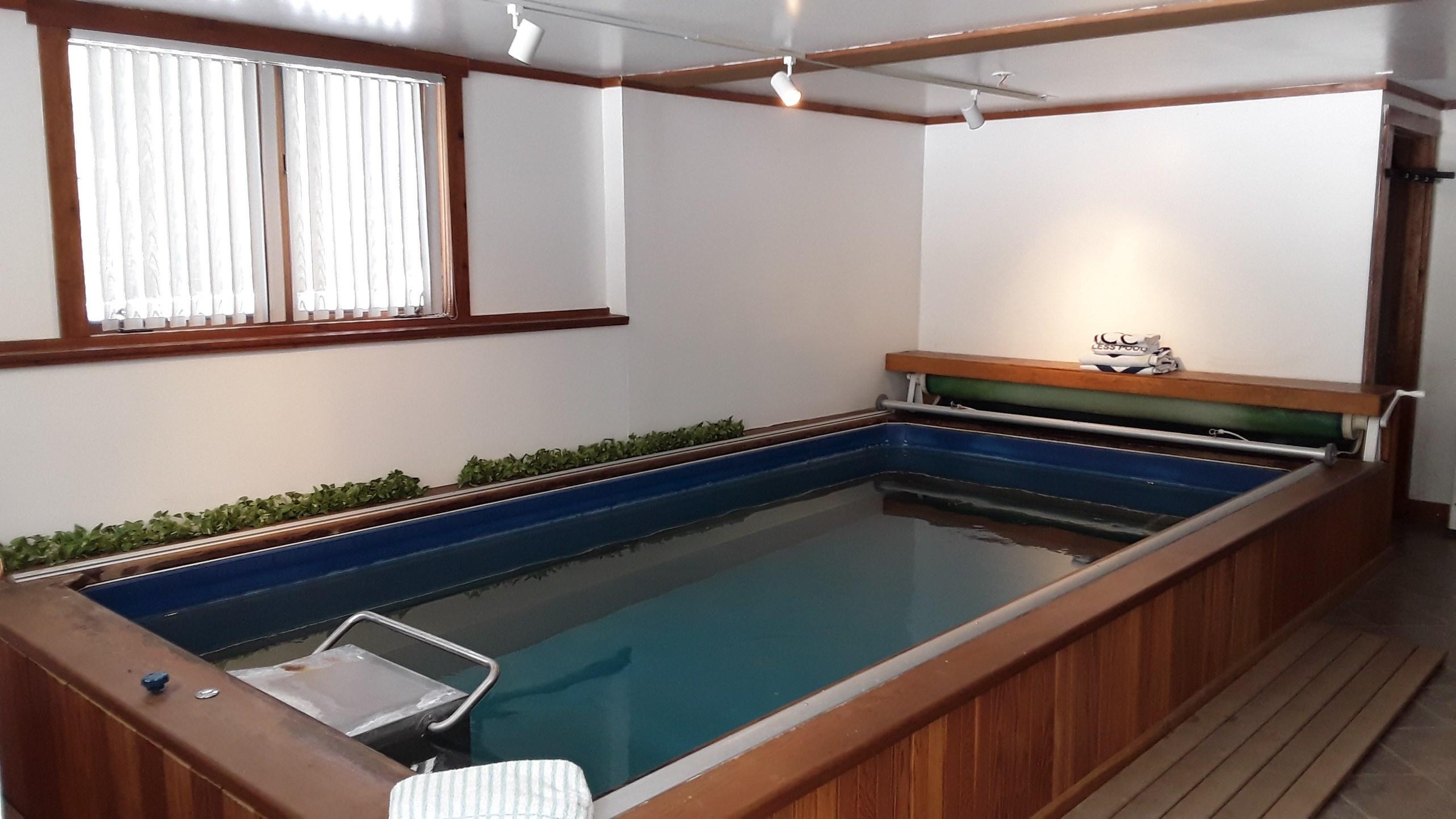 1274 Cape Road Hollis Center, ME 04042 - Photo 55 of 81 55 - Basement pool hot tub part0(41)