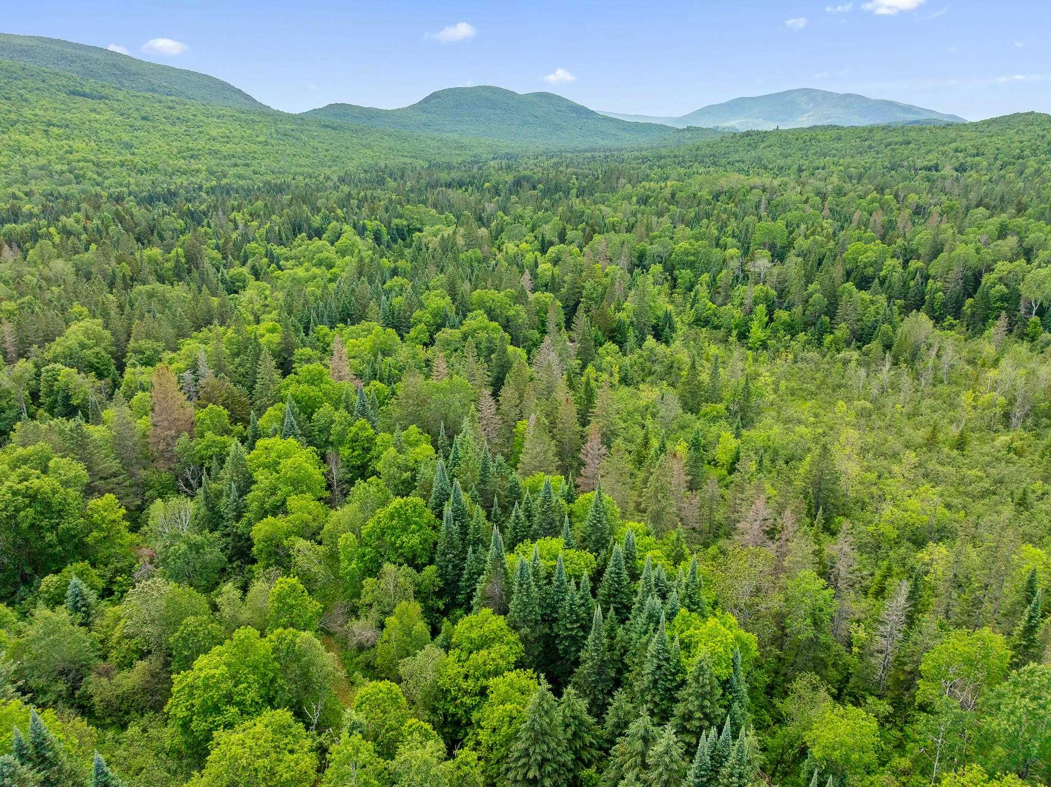 354 Gray Road Columbia, NH 03576 - Photo 10 of 37