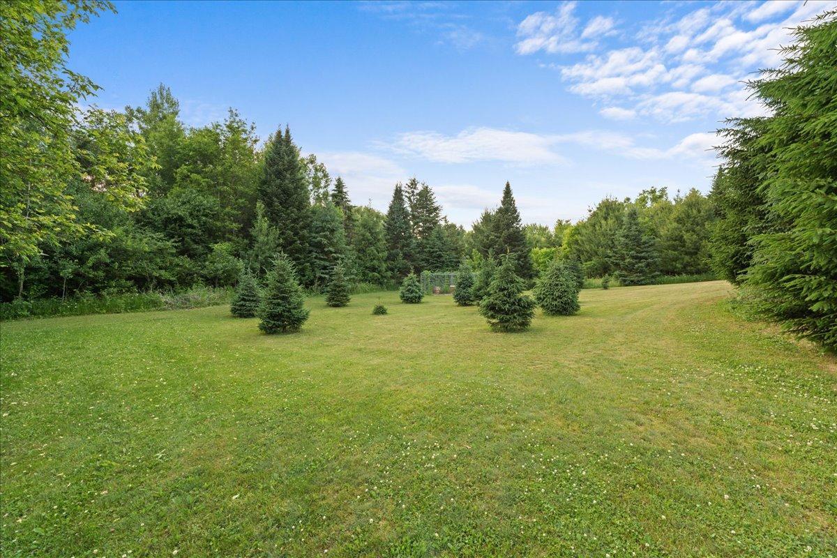 810 Antler Ridge Hudson, WI 54016 - Photo 56 of 63