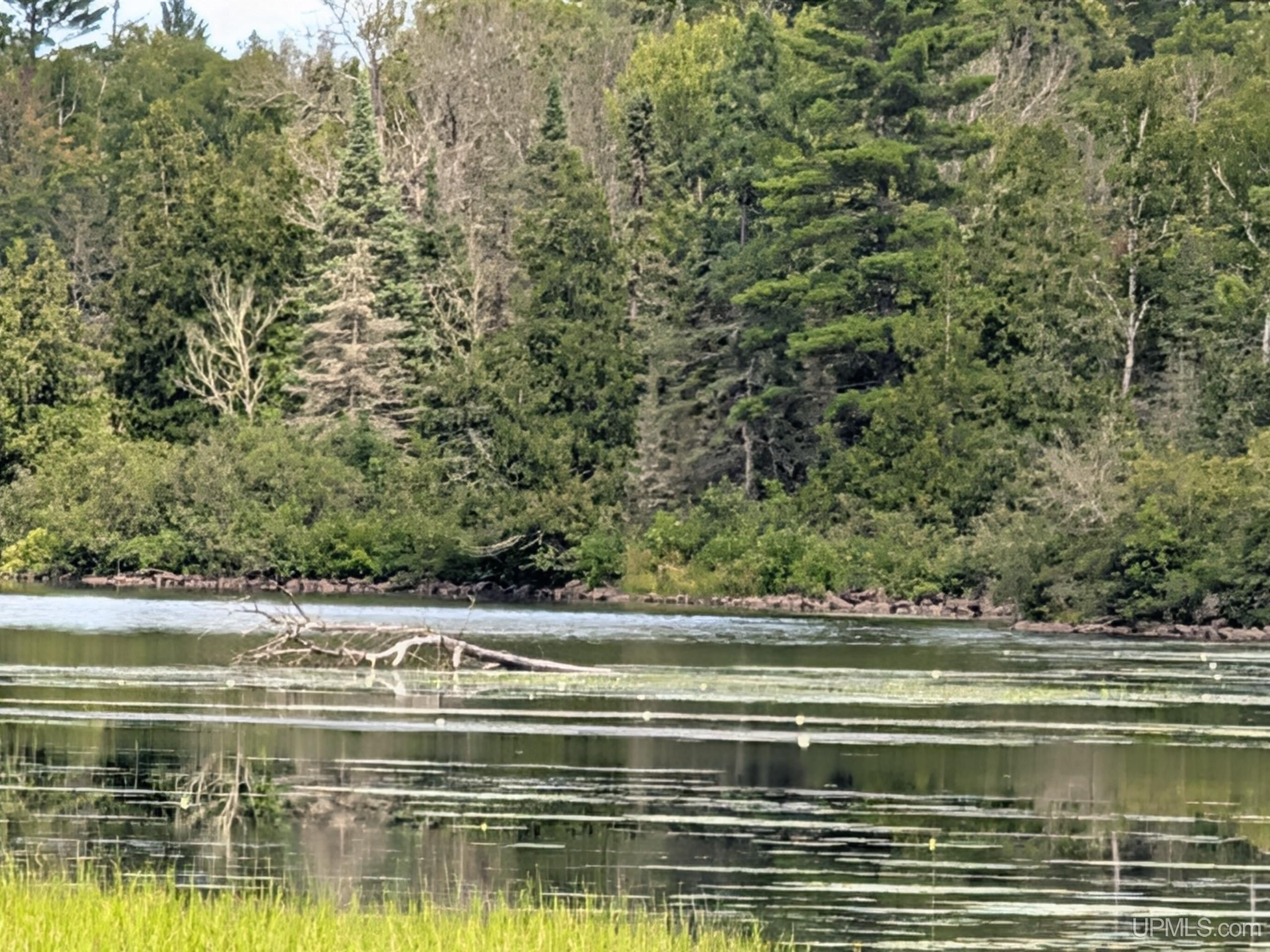 33-acres Off Net River Road Crystal Falls, MI 49920 - Photo 8 of 22