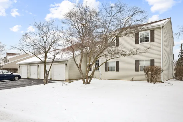 a house with trees covered with snow in front of house