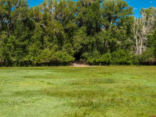 a view of a field with an ocean view