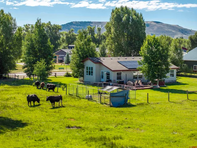 a view of backyard of house with green space