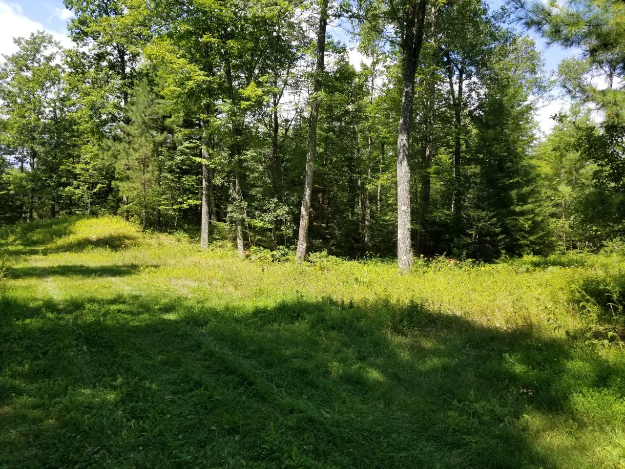 28 Rd Lake, Unit LOT 1 Lake Tomahawk, WI 54539 - Photo 11 of 13 Gallery Image 11