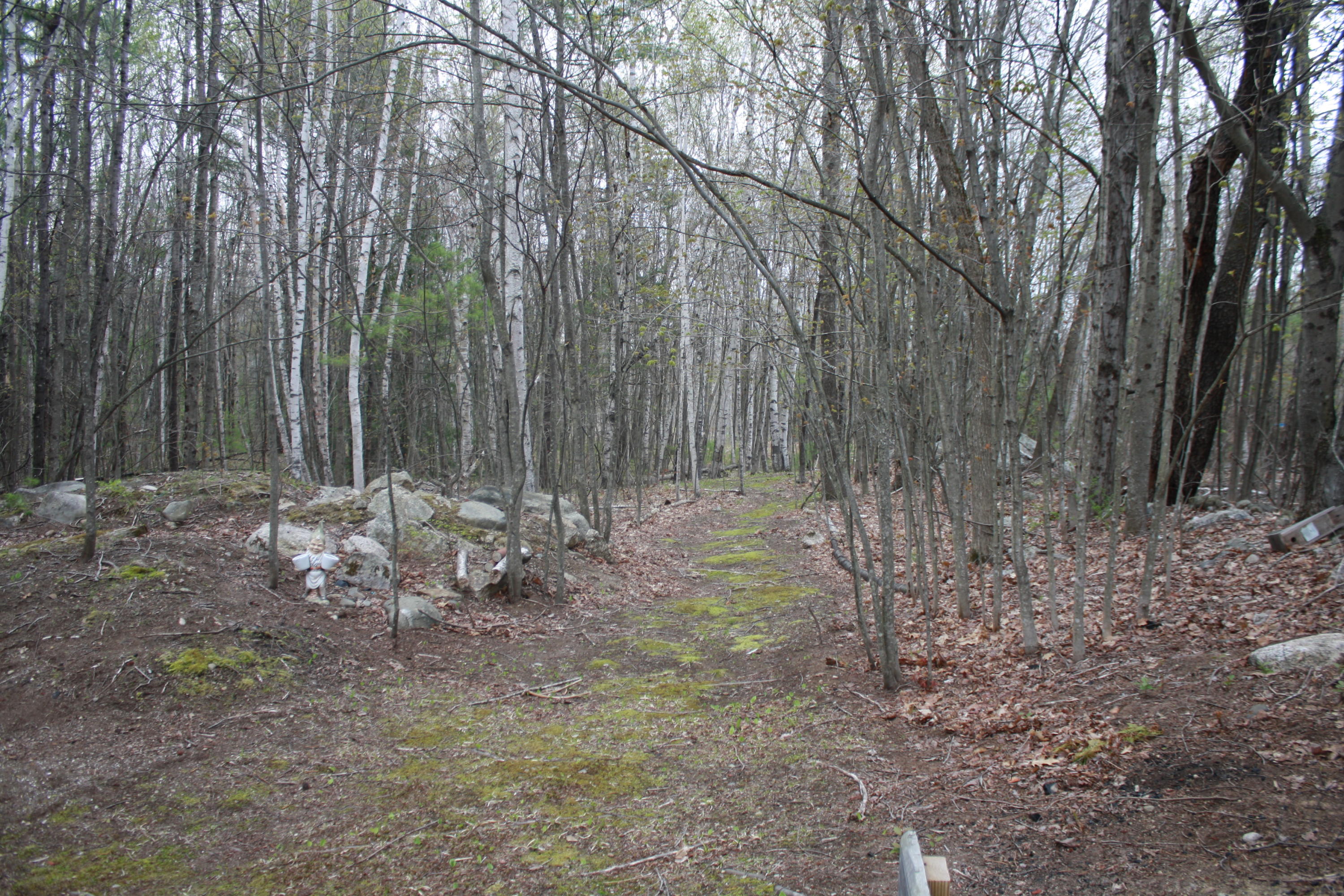 213 Townhouse Road East Waterboro, ME 04030 - Photo 86 of 127 walking trail