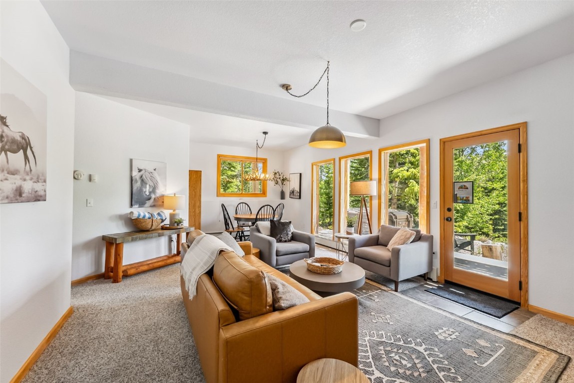 1375 Roberts Road Alma, CO 80420 - Photo 28 of 50 Living area with plenty of natural light