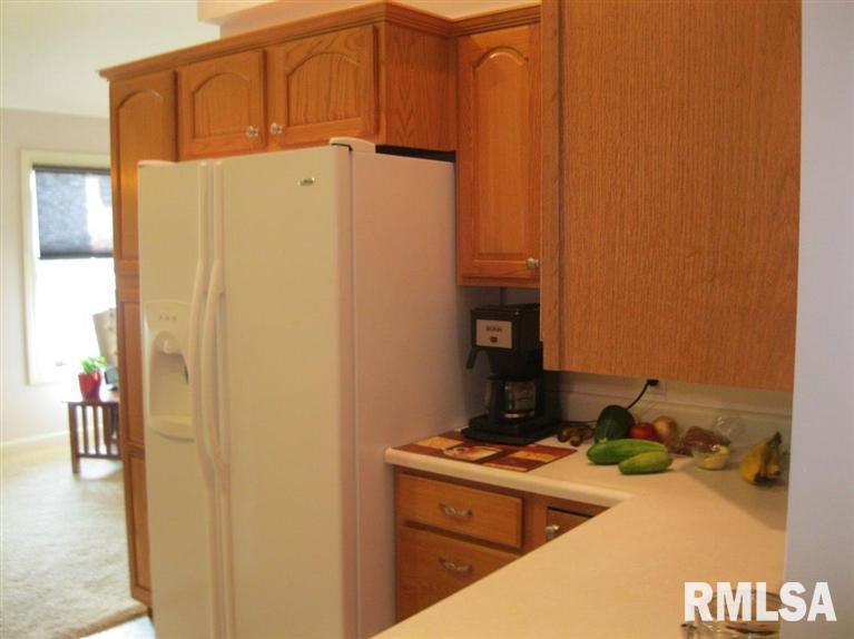 504 Mill Ridge Road Clinton, IA 52732 - Photo 14 of 24