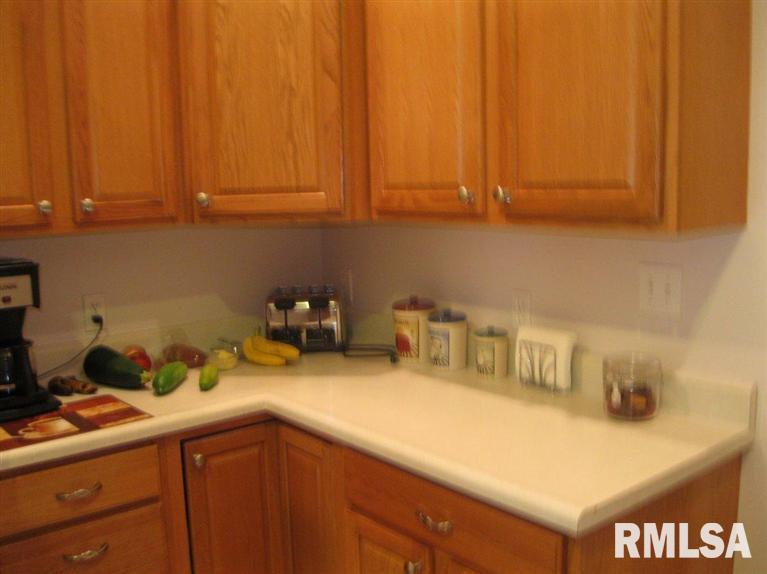 504 Mill Ridge Road Clinton, IA 52732 - Photo 15 of 24