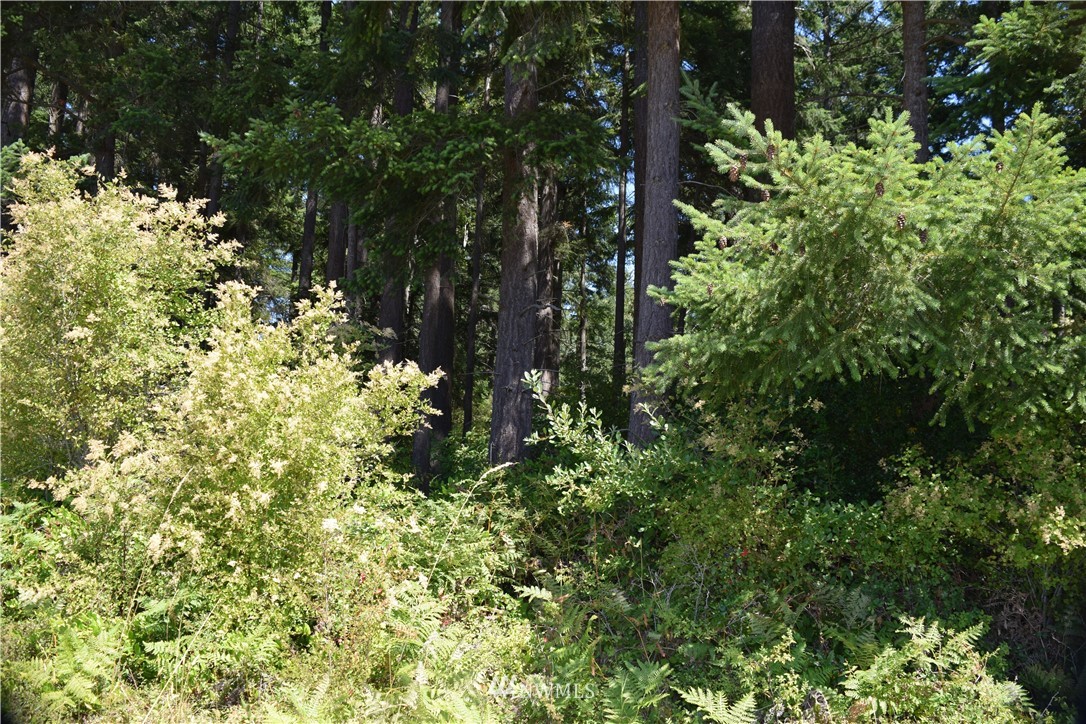 2746 Strawberry Point Road Oak Harbor, WA 98277 - Photo 11 of 25 Gallery Image 11
