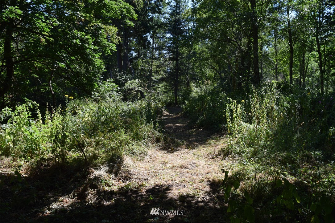 2746 Strawberry Point Road Oak Harbor, WA 98277 - Photo 13 of 25 Gallery Image 13