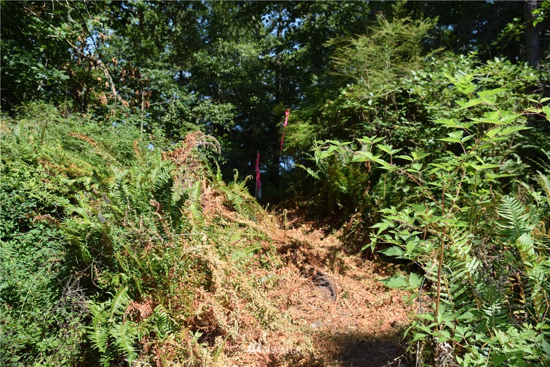 2746 Strawberry Point Road Oak Harbor, WA 98277 - Photo 14 of 25 Gallery Image 14