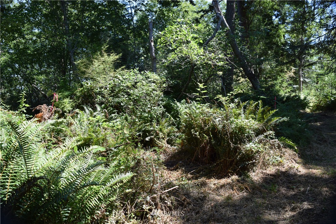 2746 Strawberry Point Road Oak Harbor, WA 98277 - Photo 15 of 25 Gallery Image 15