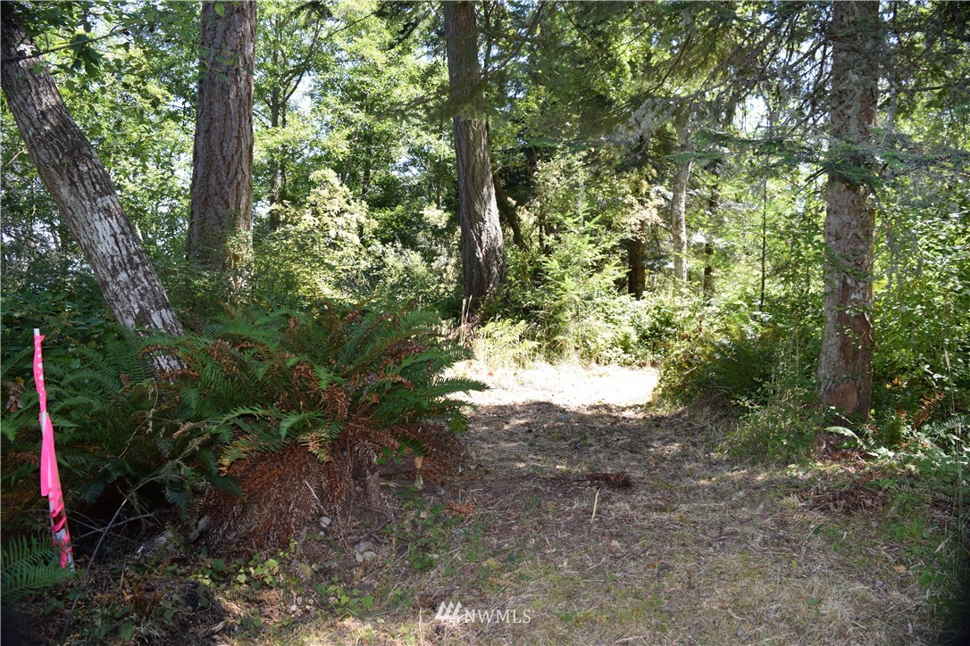 2746 Strawberry Point Road Oak Harbor, WA 98277 - Photo 17 of 25 Gallery Image 17