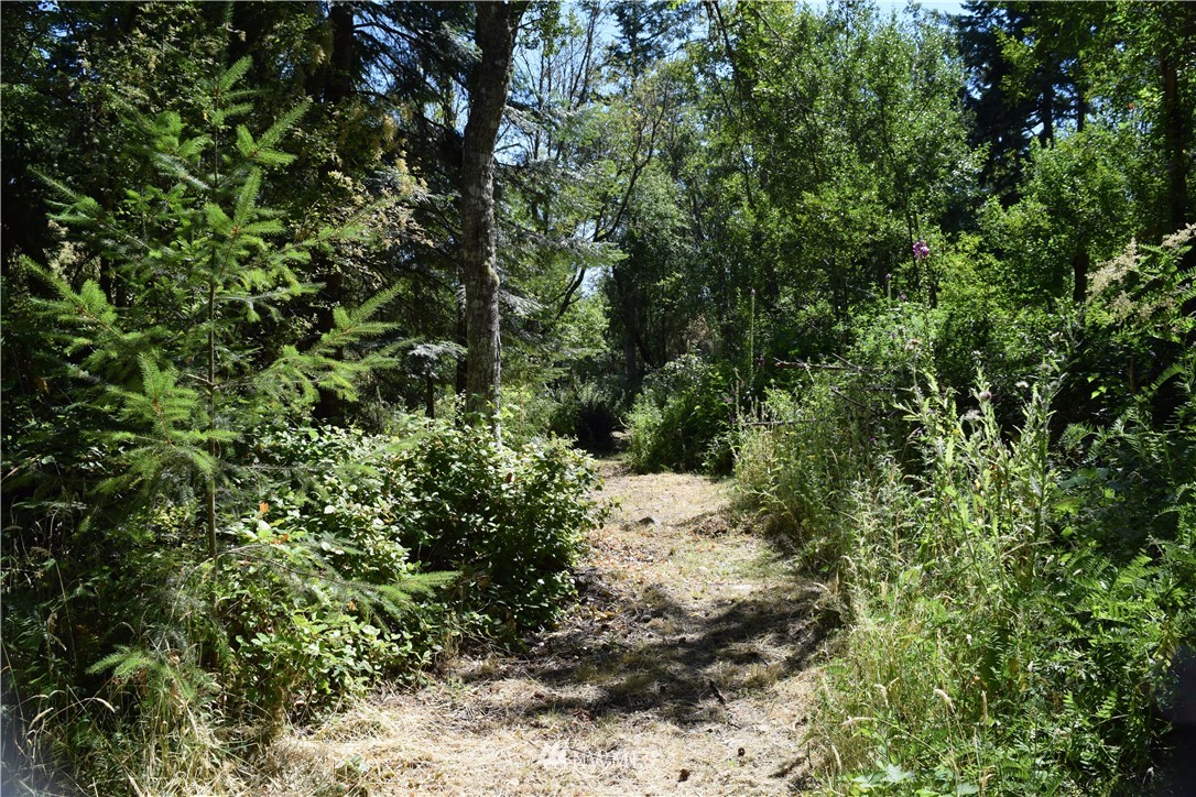 2746 Strawberry Point Road Oak Harbor, WA 98277 - Photo 18 of 25 Gallery Image 18
