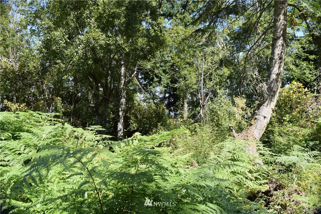 2746 Strawberry Point Road Oak Harbor, WA 98277 - Photo 19 of 25 Gallery Image 19