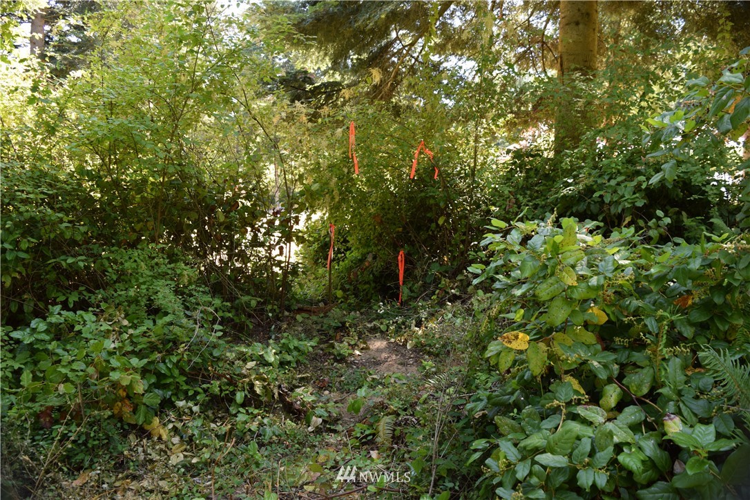 2746 Strawberry Point Road Oak Harbor, WA 98277 - Photo 20 of 25 Gallery Image 20