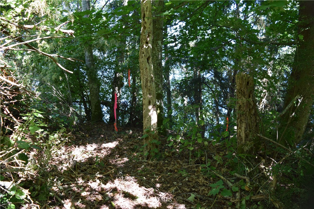 2746 Strawberry Point Road Oak Harbor, WA 98277 - Photo 21 of 25 Gallery Image 21