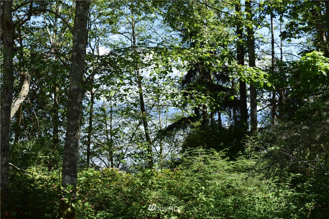 2746 Strawberry Point Road Oak Harbor, WA 98277 - Photo 23 of 25 Gallery Image 23