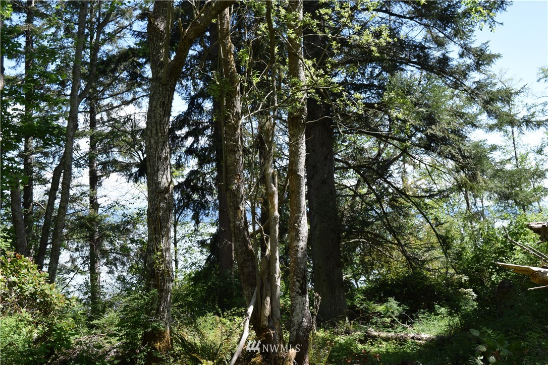 2746 Strawberry Point Road Oak Harbor, WA 98277 - Photo 24 of 25 Gallery Image 24
