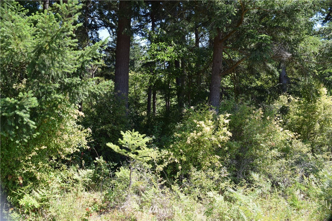 2746 Strawberry Point Road Oak Harbor, WA 98277 - Photo 10 of 25 Gallery Image 10