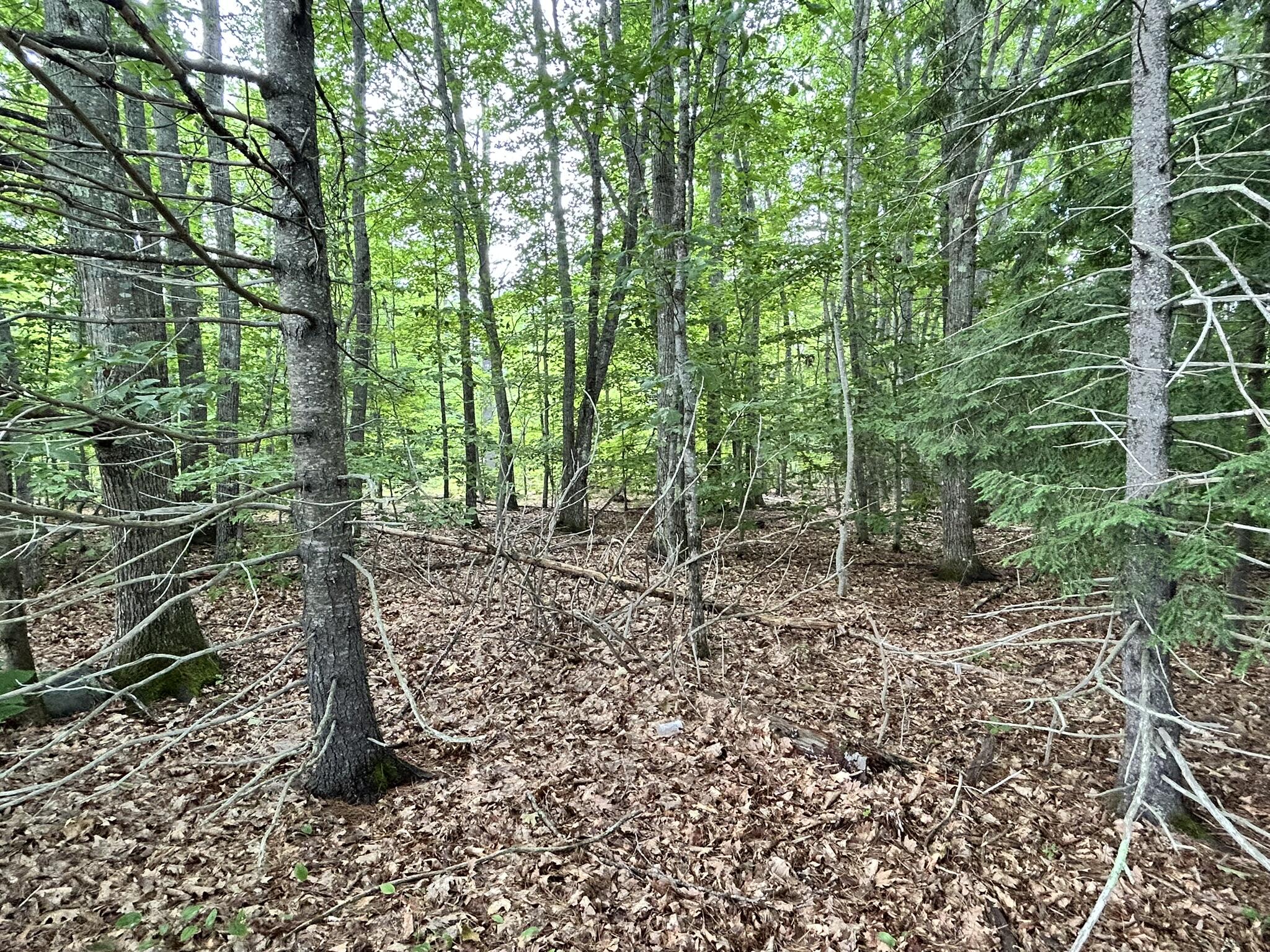 Dover-foxcroft Vaughn Road Dover Foxcroft, ME 04426 - Photo 2 of 11 IMG_4533