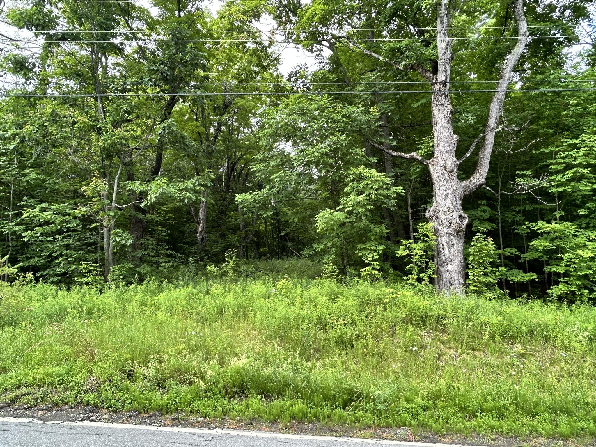 Dover-foxcroft Vaughn Road Dover Foxcroft, ME 04426 - Photo 6 of 11 IMG_4538