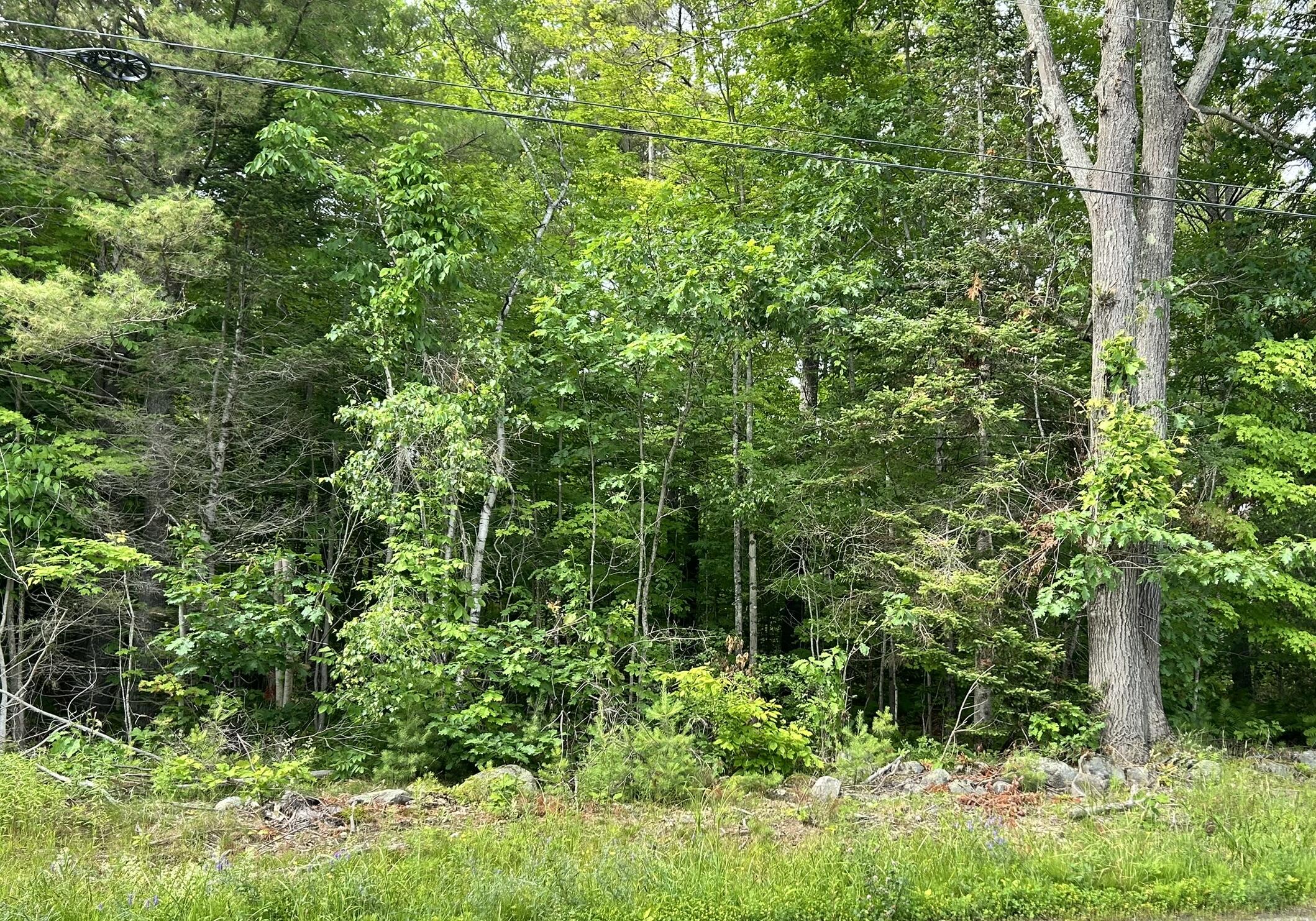 Dover-foxcroft Vaughn Road Dover Foxcroft, ME 04426 - Photo 7 of 11 IMG_4539