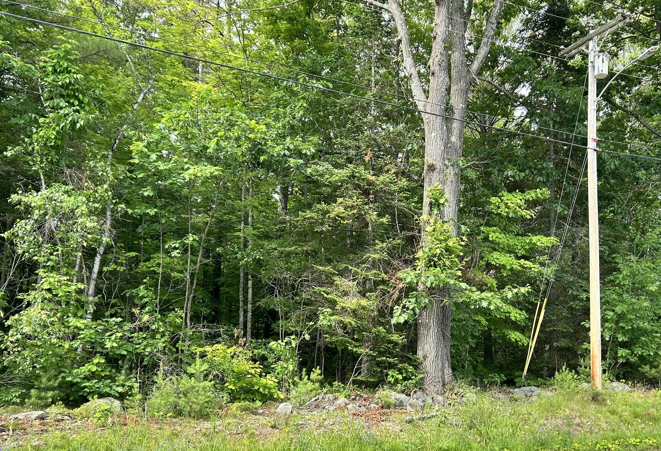 Dover-foxcroft Vaughn Road Dover Foxcroft, ME 04426 - Photo 8 of 11 IMG_4540