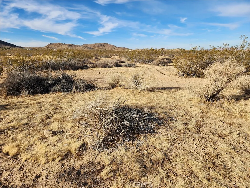0 Patrick Joshua Tree, CA 92252 - Photo 11 of 15 a view of lake with mountain
