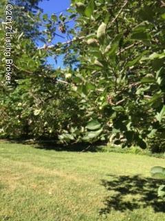 110 South Hampton Road Louisville, KY 40222 - Photo 24 of 28 IMG_7013