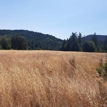 $180,000 | 80090 Road 442-B, Piercy, CA 95587