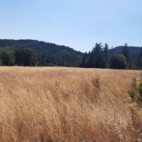 $245,000 | 80090 Road 442-B, Piercy, CA 95587