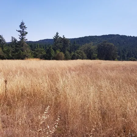 $180,000 | 80090 Road 442-B, Piercy, CA 95587
