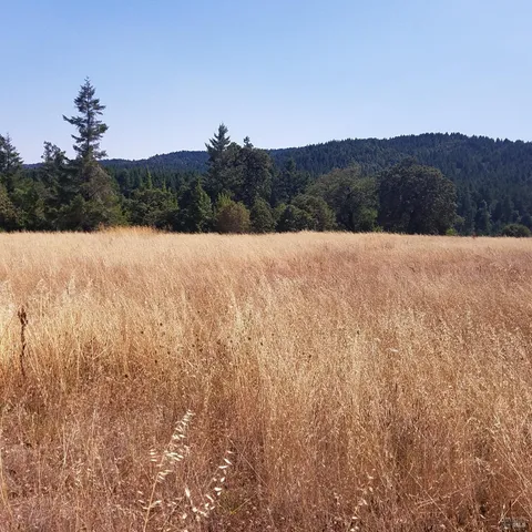 $245,000 | 80090 Road 442-B, Piercy, CA 95587