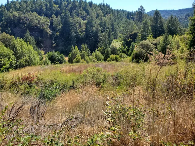 $245,000 | 80090 Road 442-B, Piercy, CA 95587