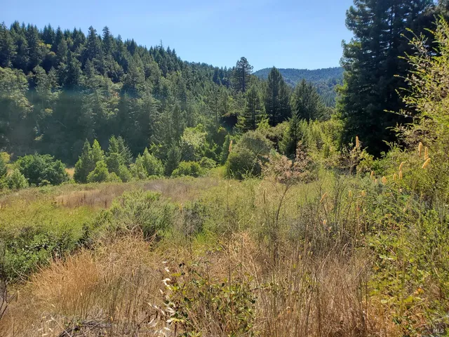 $245,000 | 80090 Road 442-B, Piercy, CA 95587