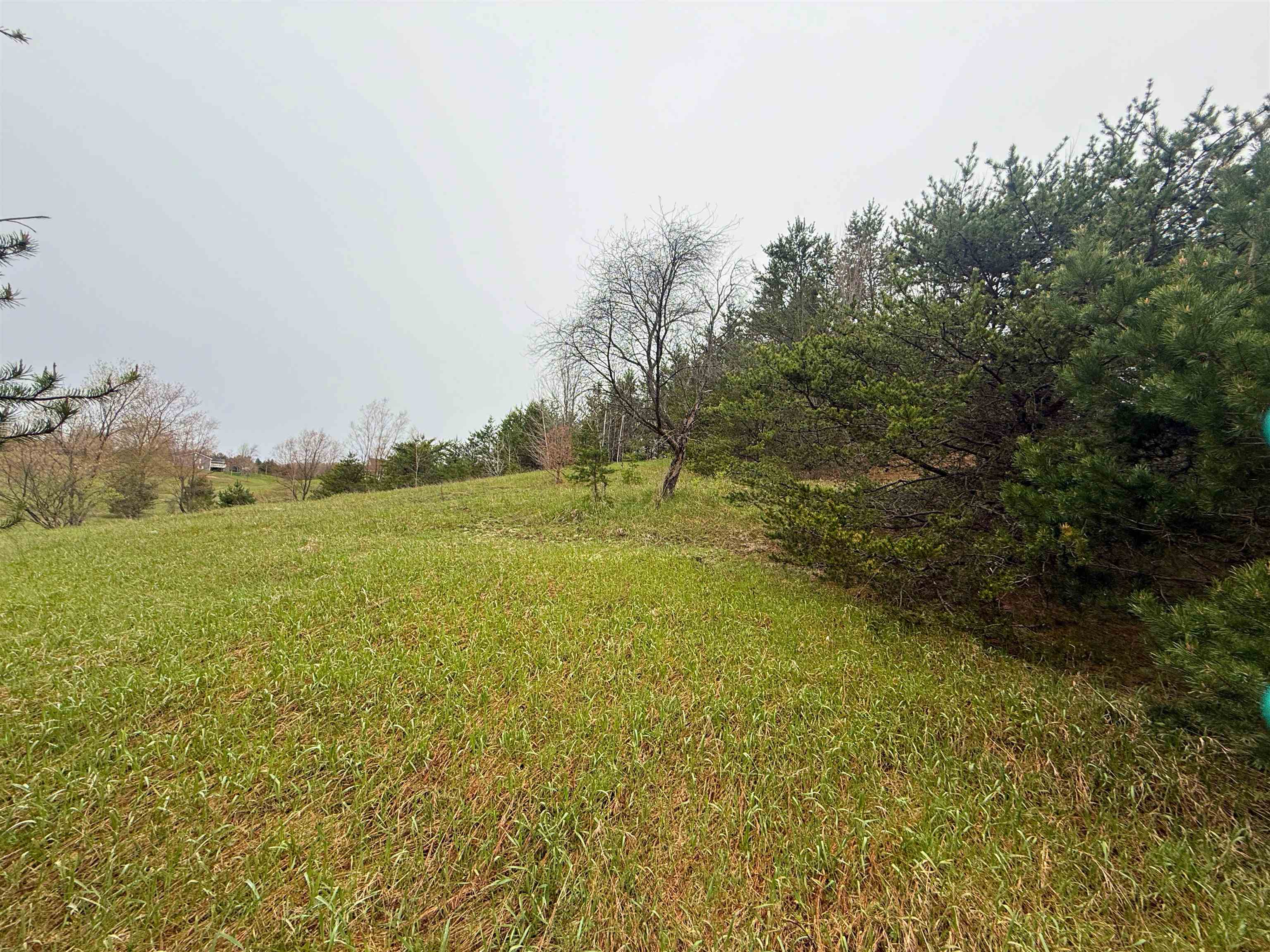 0 West County Line Road, Unit LOT: C Thompsonville, MI 49683 - Photo 14 of 21