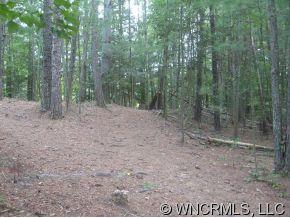 0 Joe Road Pisgah Forest, NC 28768 - Photo 2 of 5 Gallery Image 2