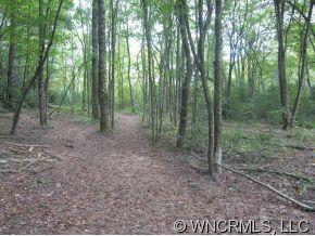 0 Joe Road Pisgah Forest, NC 28768 - Photo 3 of 5 Gallery Image 3