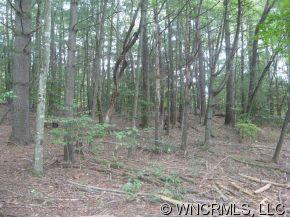 0 Joe Road Pisgah Forest, NC 28768 - Photo 4 of 5 Gallery Image 4