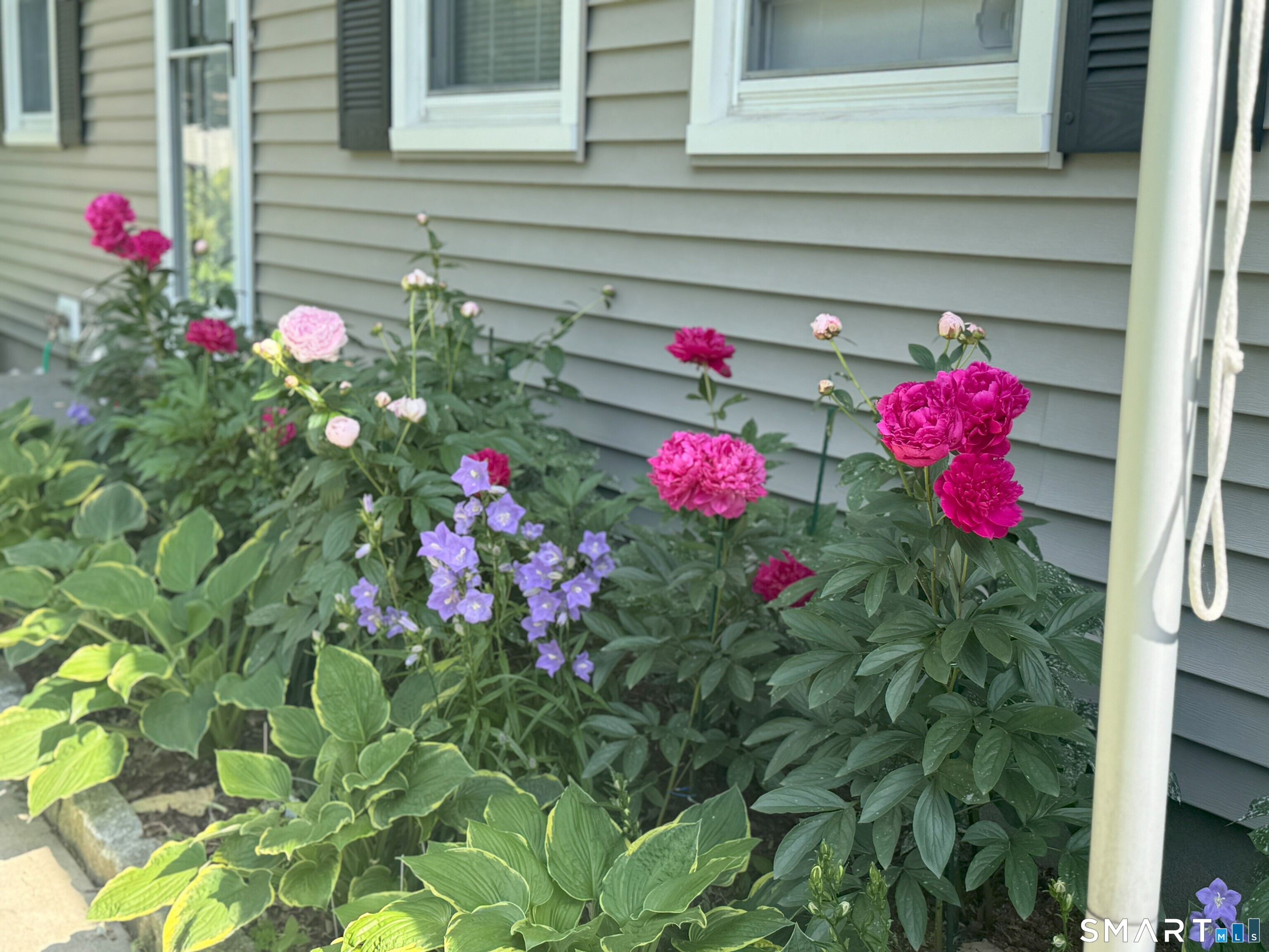 38 Vernon Road Enfield, CT 06082 - Photo 2 of 45