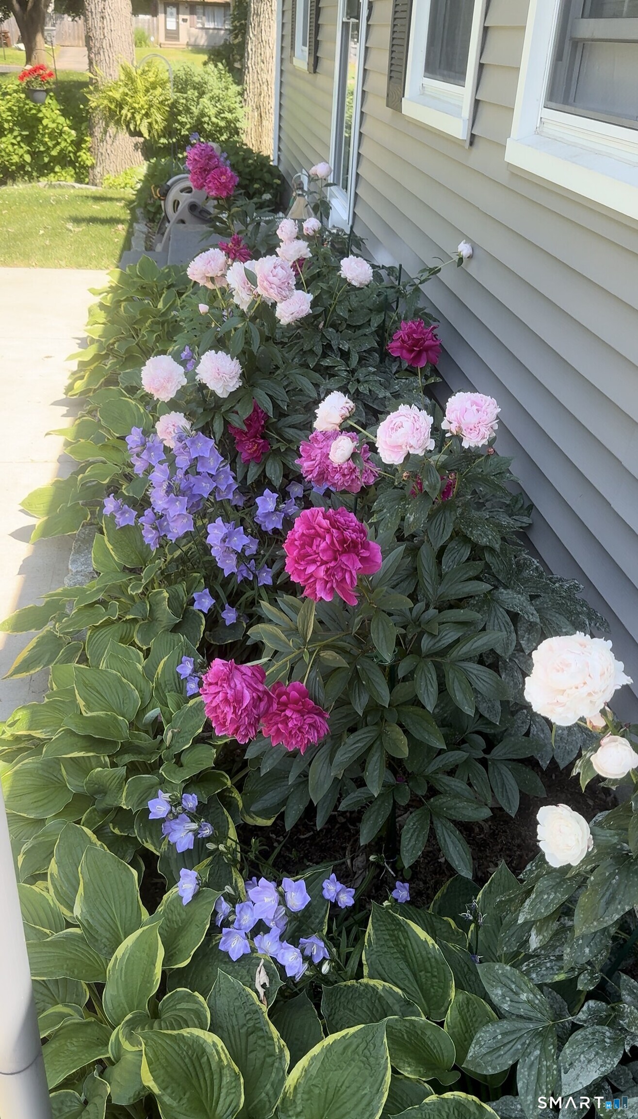 38 Vernon Road Enfield, CT 06082 - Photo 6 of 45