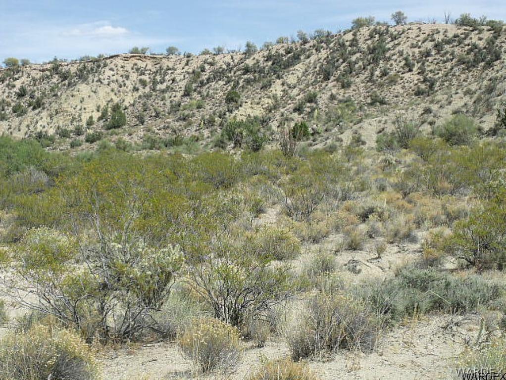 Tbd Back Road Kingman, AZ 86401 - Photo 14 of 20 Gallery Image 14