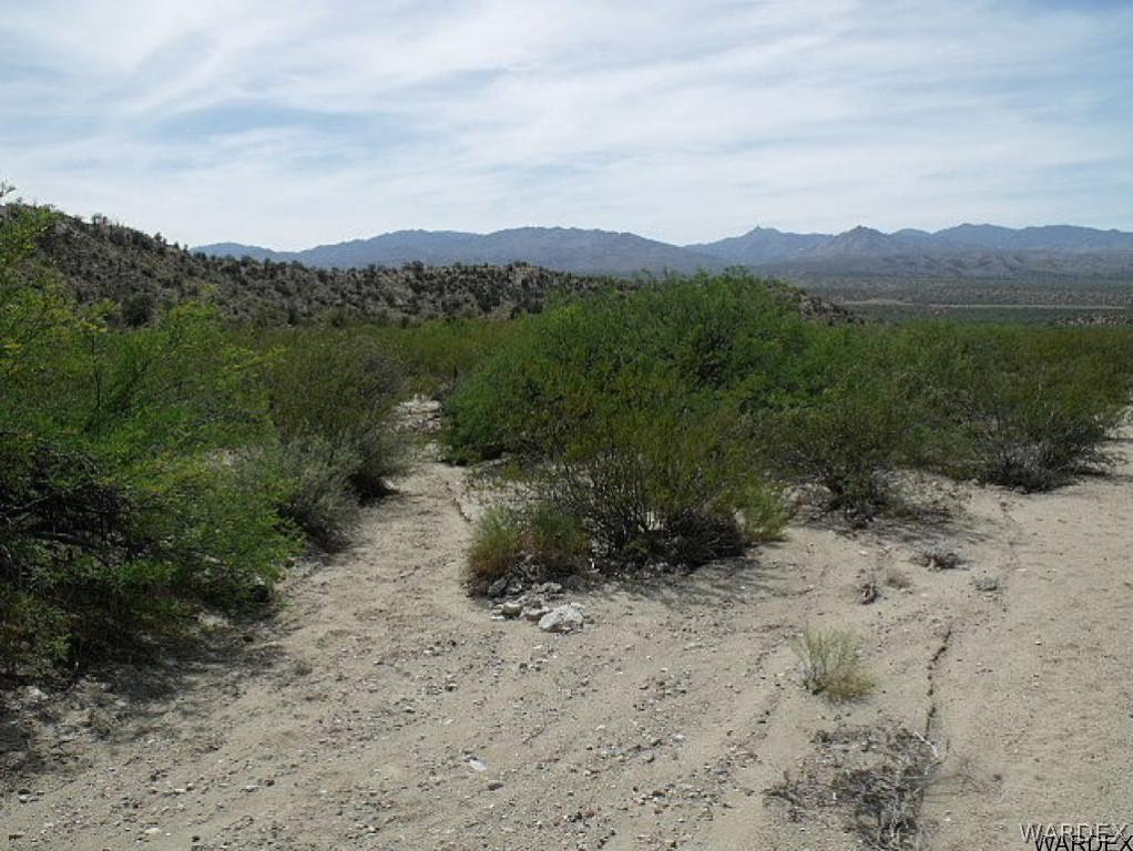 Tbd Back Road Kingman, AZ 86401 - Photo 8 of 20 Gallery Image 8