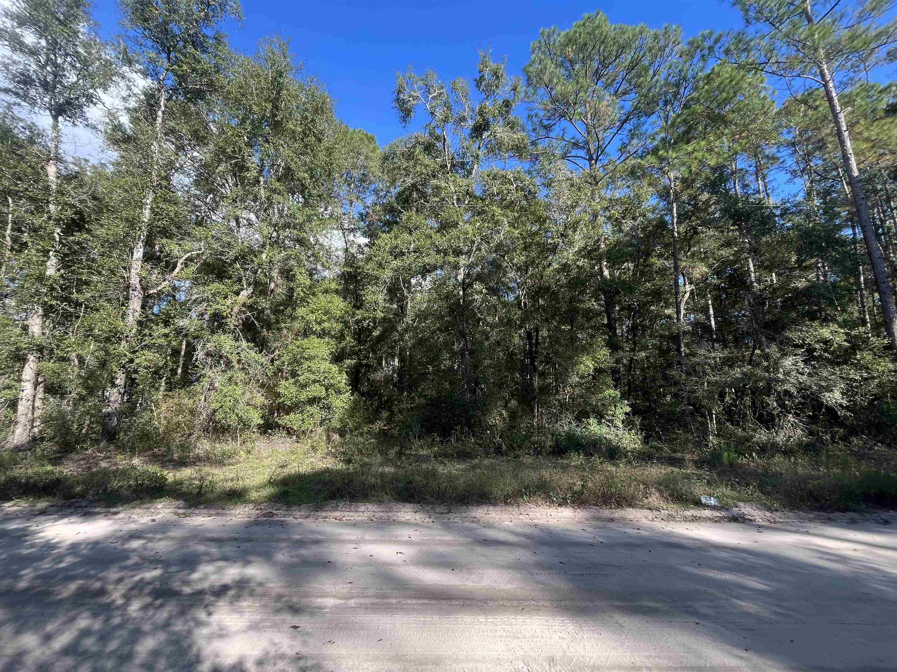 13 Rutland Road Crawfordville, FL 32327 - Photo 1 of 9 Gallery Image 1