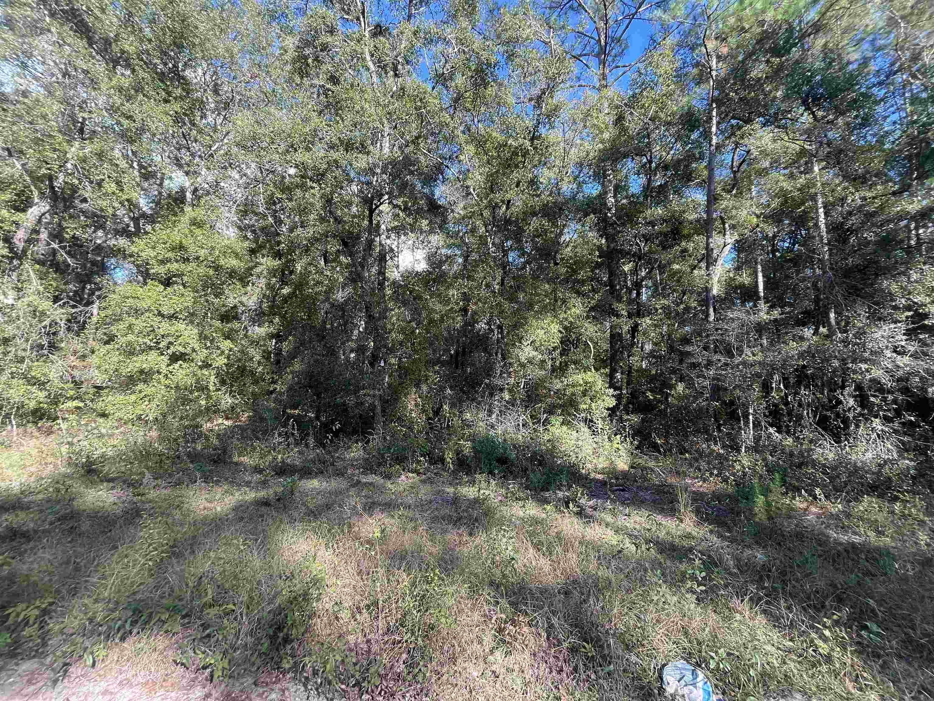 13 Rutland Road Crawfordville, FL 32327 - Photo 3 of 9 Gallery Image 3